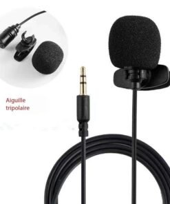 Microphone enregistrement de téléphone portable repas et diffusion en plein air réduction du bruit