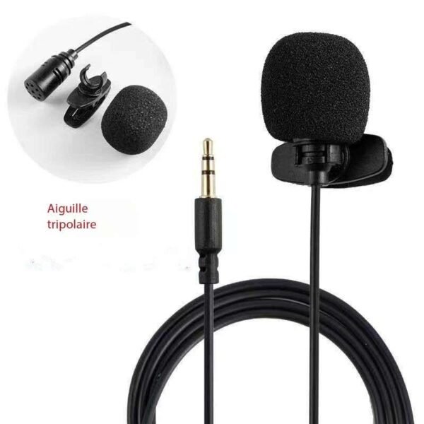 Microphone enregistrement de téléphone portable repas et diffusion en plein air réduction du bruit