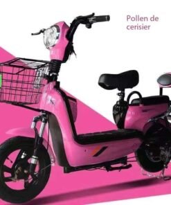 Alternative view of Moto électrique à batterie