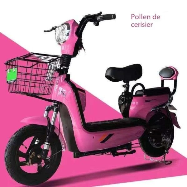 Moto électrique à batterie – Image 2