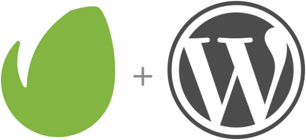 Service Web  4-1 services – Image 3
